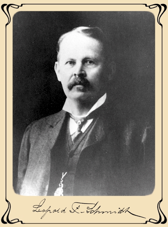 Portrait of Leopold Schmidt - image